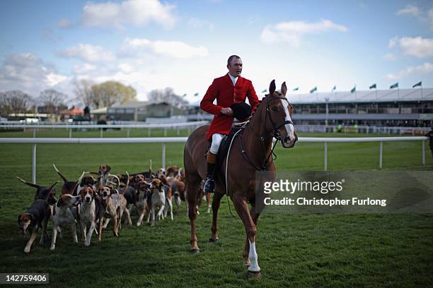 Huntsman parades his hounds as racegoers arrive for the first day of the Aintree Grand National meeting on April 12, 2012 in Aintree, England. The...