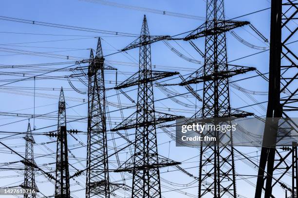 many large electricity pylons - cable-de-acero fotografías e imágenes de stock