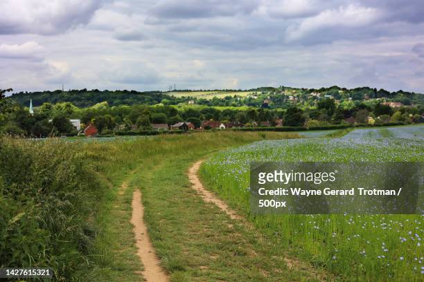 scenic view of agricultural field against sky,surrey,united kingdom,uk - wayne gerard trotman fotografías e imágenes de stock
