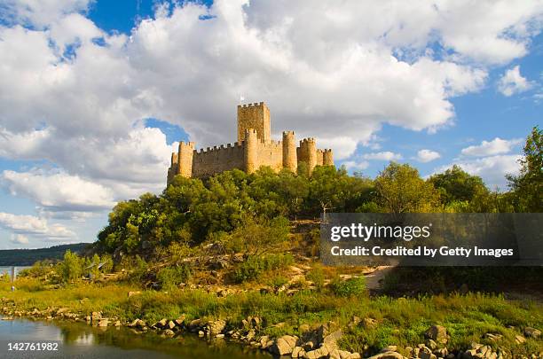 almourol castle against cloudy sky - château d'almourol photos et images de collection