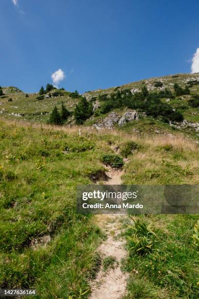 footpath leading up the mountain - nebelhorn bildbanksfoton och bilder