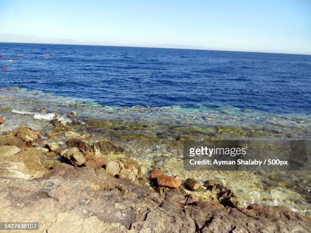 scenic view of sea against clear sky,south sinai governorate,egypt - tourism in south sinai stock pictures, royalty-free photos & images