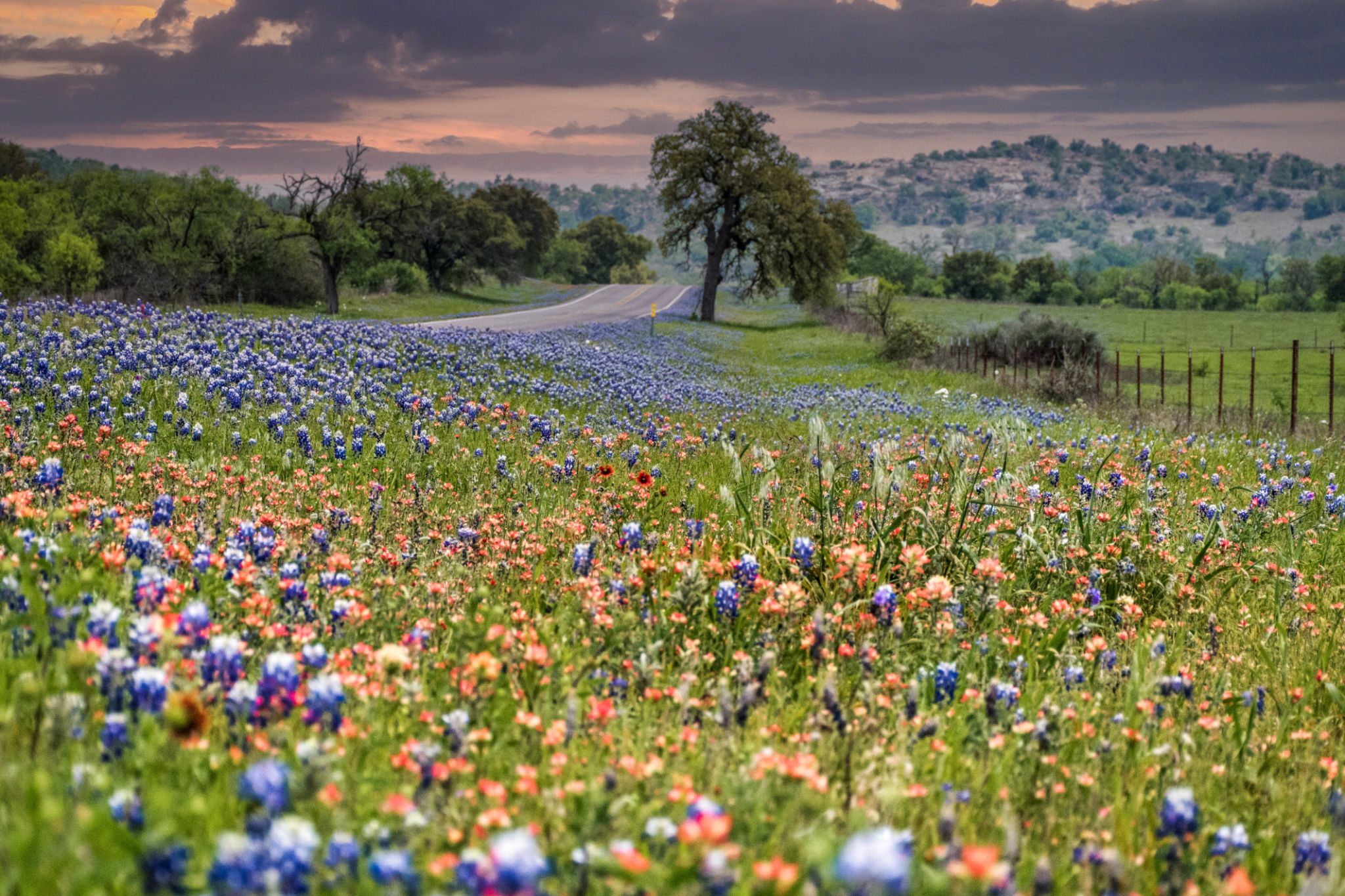 flower mound tx