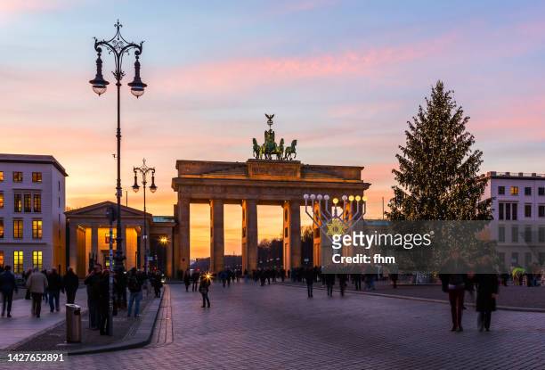 brandenburg gate with christmas tree at sunset (berlin, germany) - brandenburg gate berlin stock-fotos und bilder