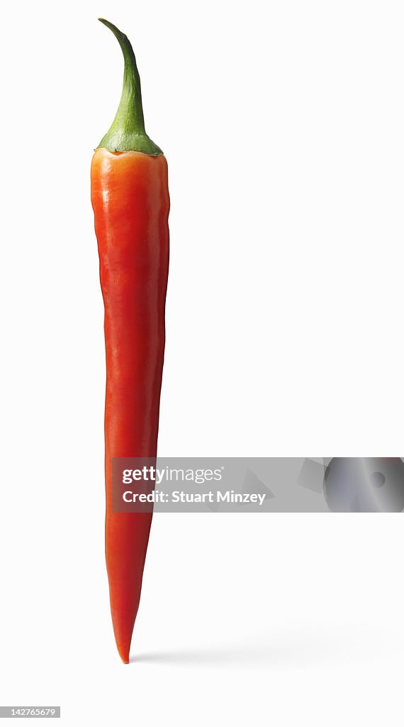 Red chili pepper on white background