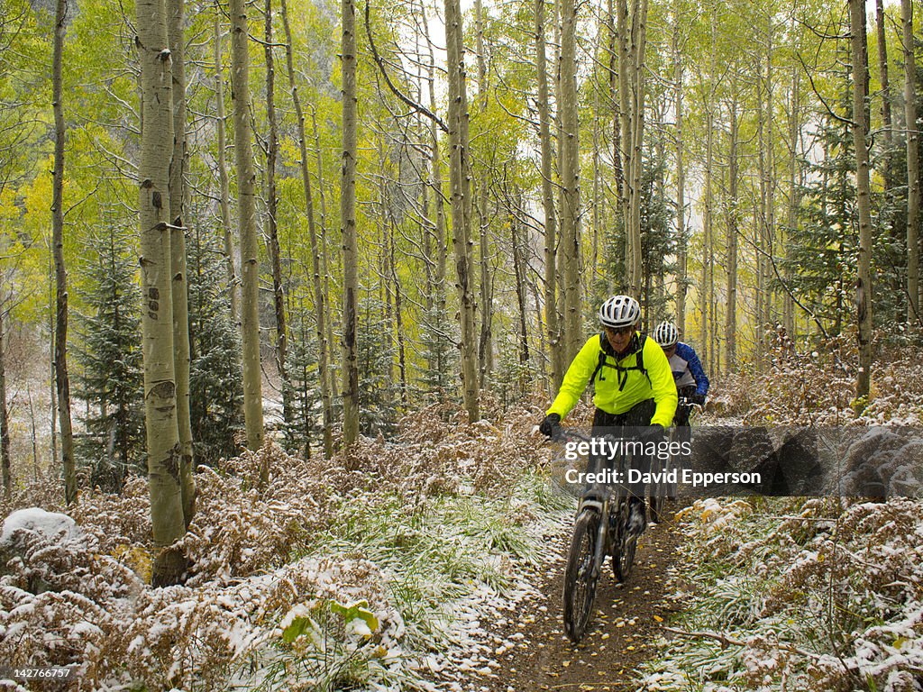 Mature couple mountain biking in snow