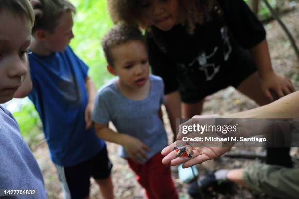 Rachael Joakim shows dead spotted lanternflies to her students at Inwood Hill Park on September 26, 2022 in New York City. Joakim is a Ph.D....