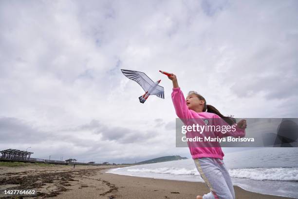 a girl in a pink sweater launches a kite in the shape of a bird. - kite bird stock-fotos und bilder