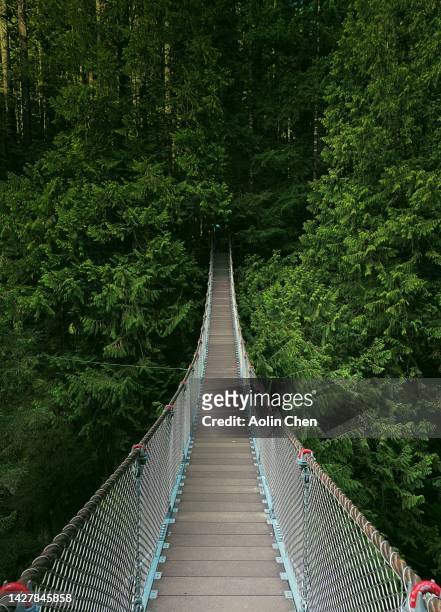 suspension bridge inside the forest - vancouver stock pictures, royalty-free photos & images
