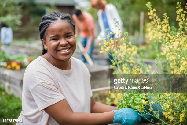 portrait of black young woman working smiling in community garden park with group of volunteers teamwork outdoors in neighborhood environment - flower etnic stock pictures, royalty-free photos & images
