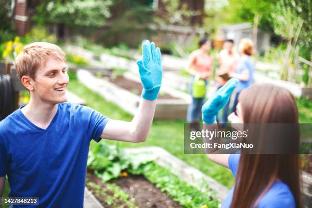 young man and young woman give each other high-five congratulations teamwork success in community garden in urban neighborhood environment - school district stock pictures, royalty-free photos & images