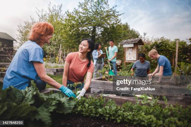 un groupe multiracial de jeunes hommes et de jeunes femmes se rassemblent en tant que bénévoles pour planter des légumes dans un jardin communautaire avec des conseils de chef de projet et un travail d’équipe de femmes matures - city garden photos et images de collection