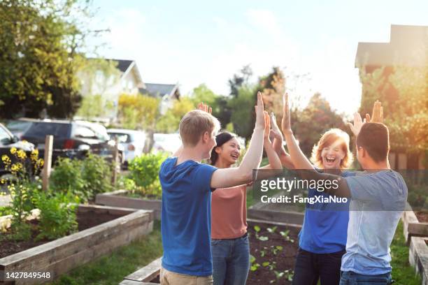 multiracial group of diverse people volunteers stand and high-five in support togetherness teamwork success in community garden park in neighborhood smiling happiness with sunlight with mature woman project manager - family and happiness and diverse imagens e fotografias de stock