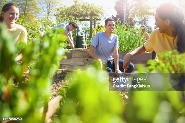 grupo multirracial de hombres y mujeres jóvenes estudiantes plantan juntos sonriendo y hablando en el parque público del jardín comunitario en el vecindario residencial como organización juvenil voluntaria de caridad en verano - jardín de la comunidad fotografías e imágenes de stock