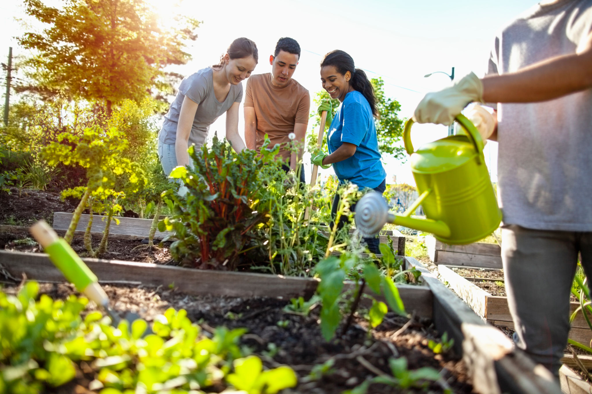 garden club project
