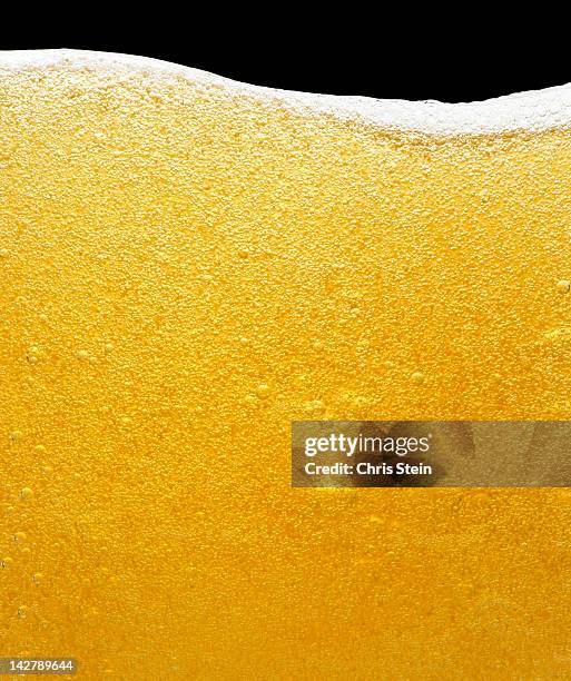 beer bubbles in a glass - beer close up foto e immagini stock