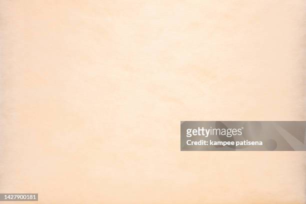Korean Traditional Mulberry Hanji Paper Natural Fiber Texture High-Res  Stock Photo - Getty Images