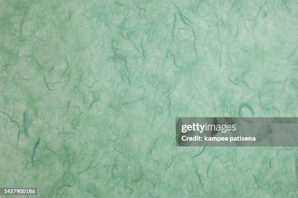 mulberry paper with leaf and flower print texture background. - wellpapp bildbanksfoton och bilder