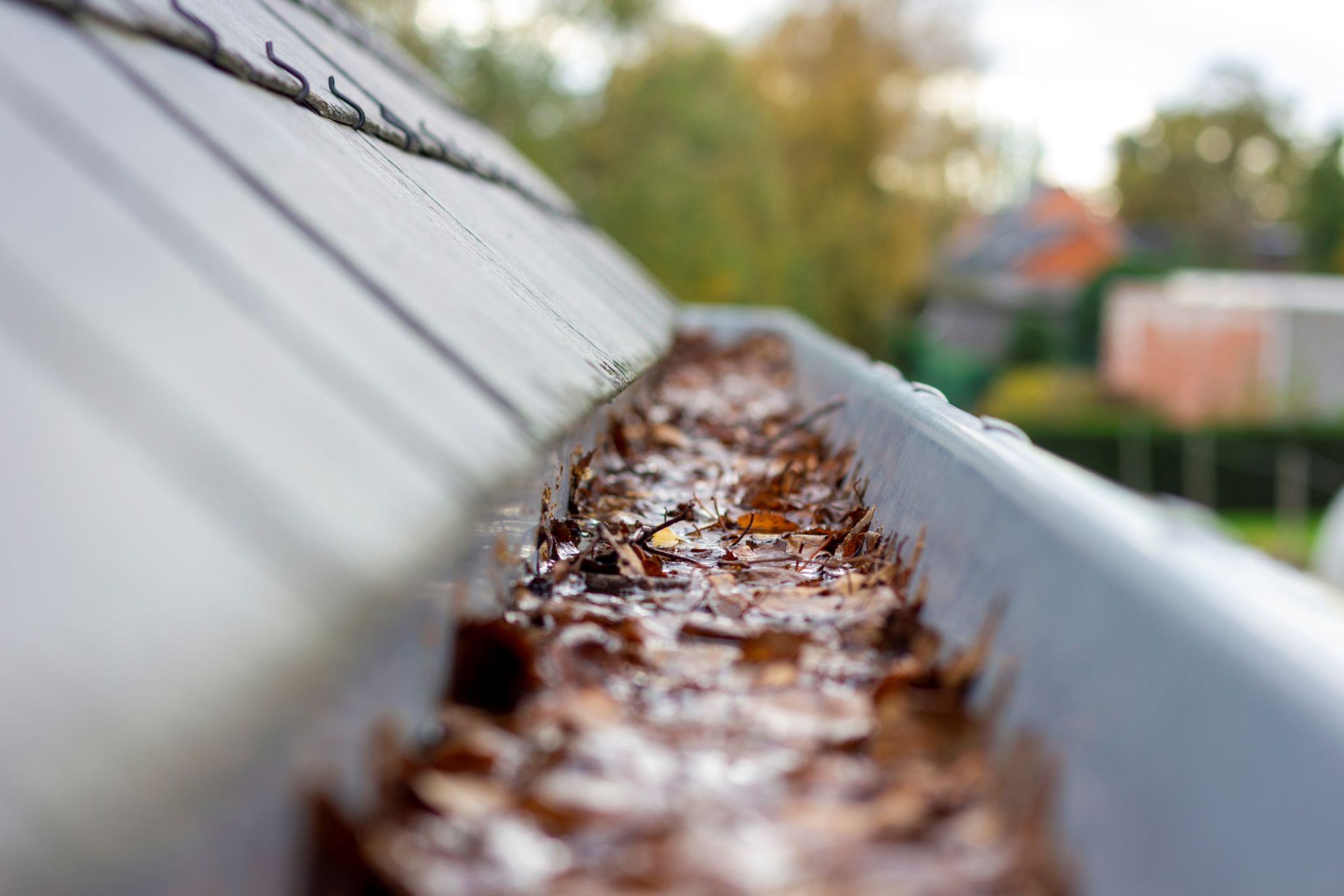 windy weather debris gutters
