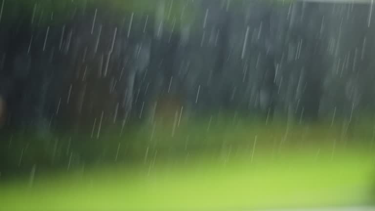 https://media.gettyimages.com/id/1427919292/video/heavy-rain-on-natural-background.jpg?b=1&s=640x640&k=20&c=EbbUA-CGPrfE6i8ObBmxAwA5xYDD5A86HogcRUoagWY=