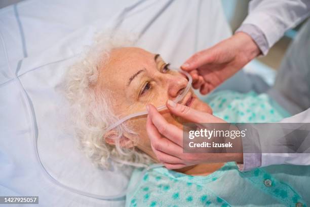 doctor adjusting oxygen tube of senior patient - breath test stockfoto's en -beelden