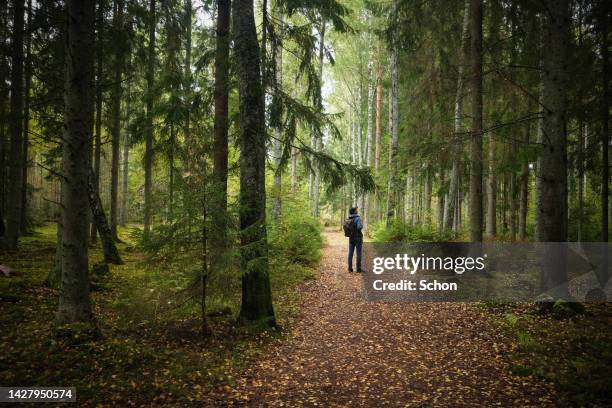 a man with a backpack stands on a path in the forest in autumn - hairy back man stock pictures, royalty-free photos & images