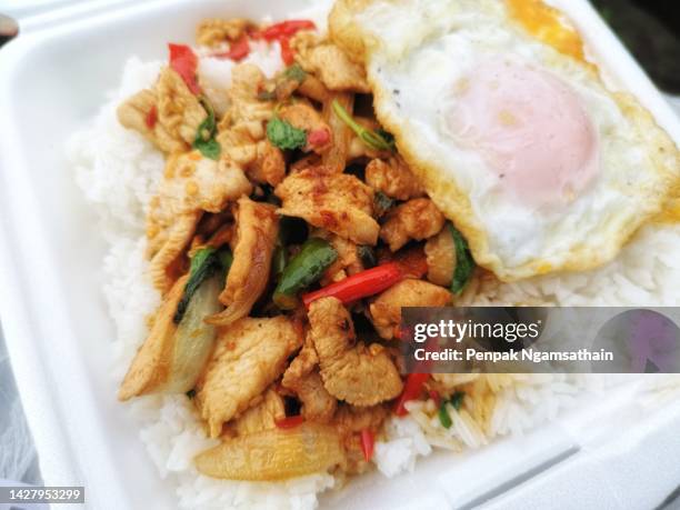 rice topped with stir-fried chicken​ and basil, fried egg - thai food fotografías e imágenes de stock