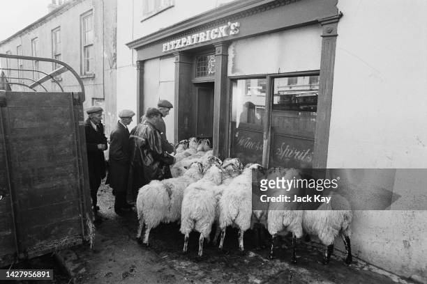 Local residents and sheep gather outside Fitzpatrick's public house as British politician Enoch Powell campaigns for the Ulster Unionist Party for...