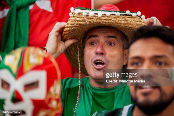 sorprendido aficionado al fútbol mexicano de pie entre la multitud durante el campeonato internacional - match international fotografías e imágenes de stock