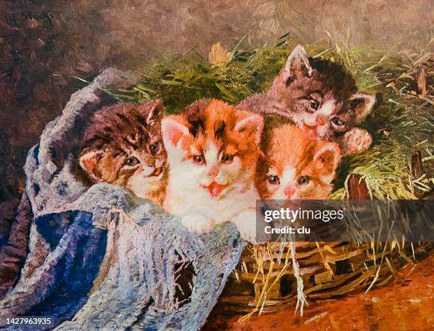 cats in a basket - kitten stock illustrations