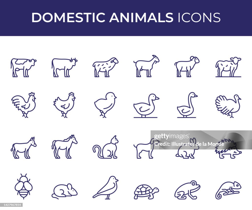 Domestic Animals Line Icons