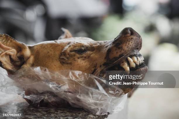animal cruelty - dead dog's head on sale on a market stall in northern vietnam - animal cruelty stock-fotos und bilder