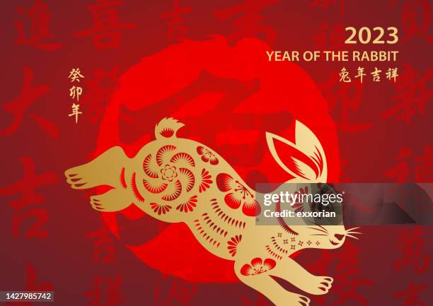 goldenes jahr des kaninchens - kung hei fat choi stock-grafiken, -clipart, -cartoons und -symbole