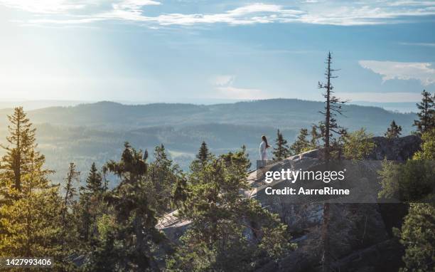 the beauty of koli hill in finland - parque nacional de koli imagens e fotografias de stock