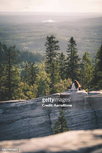 the beauty of koli hill in finland - finnish nature stockfoto's en -beelden