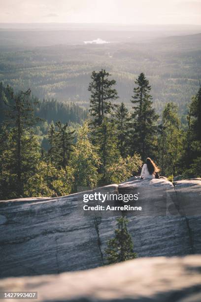 the beauty of koli hill in finland - the natural world stock pictures, royalty-free photos & images