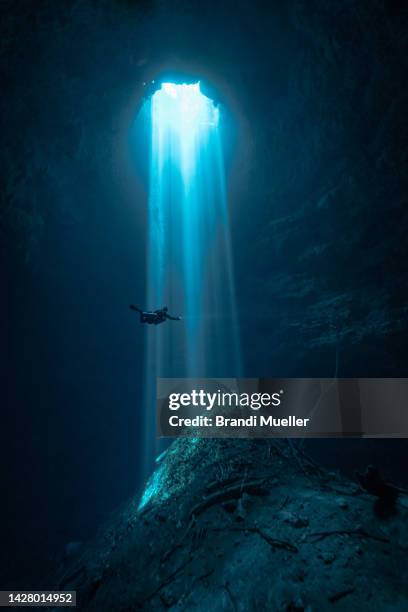 scuba diver in light beams in mexico cenote - underwater diving bildbanksfoton och bilder