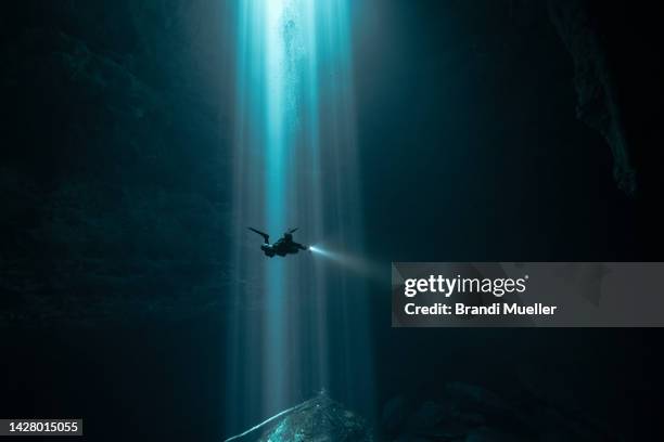 scuba diver in light beams in mexico cenote - espeleología fotografías e imágenes de stock