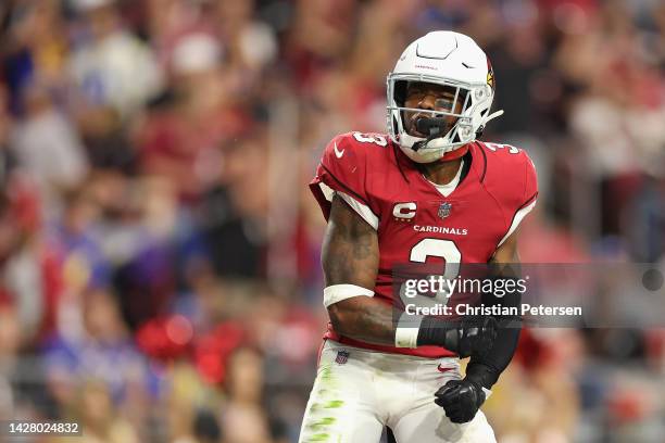 Safety Budda Baker of the Arizona Cardinals reacts to a fumble recovery against the Los Angeles Rams during the second half of the NFL game at State...