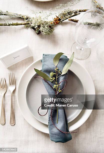 place setting with blue napkin and foliage - 餐巾 個照片及圖片檔