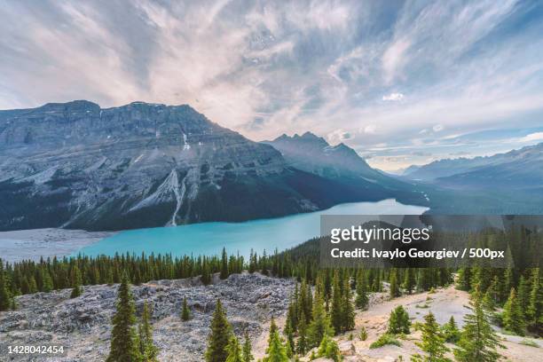 scenic view of snowcapped mountains against sky,peyto lake,canada - peytomeer stockfoto's en -beelden