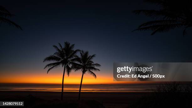 silhouette of palm trees on beach against sky during sunset,yeppoon,queensland,australia - ozeanien stock-fotos und bilder