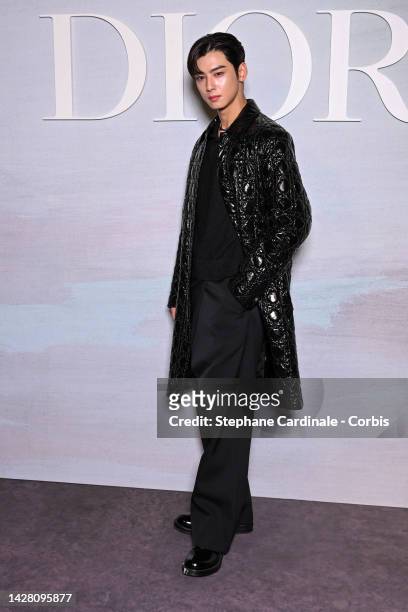 Cha Eun-woo attends the Christian Dior Womenswear Spring/Summer 2023 show as part of Paris Fashion Week on September 27, 2022 in Paris, France.