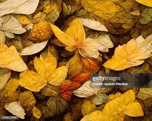 autumn fall leaves art background - live oak stock pictures, royalty-free photos & images