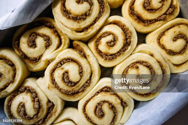 involtini di cannella a lievitazione naturale fatti in casa - lievito naturale foto e immagini stock