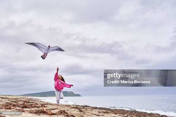 a girl in a pink sweater launches a kite in the shape of a bird. - kite bird stock-fotos und bilder