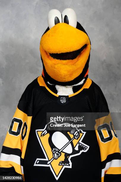 Pittsburgh Penguins mascot Iceburgh poses for his official headshot for the 2022-2023 season on September 21, 2022 at the UPMC Lemieux Sports Complex...