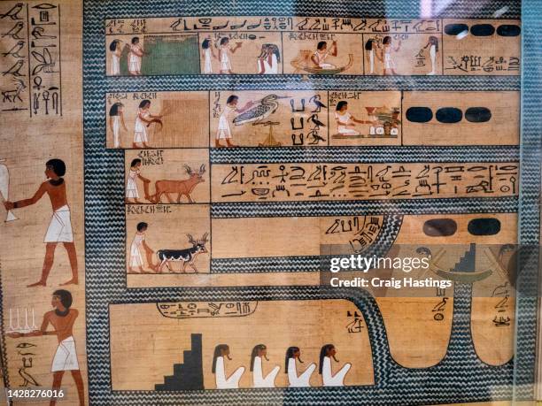 macro extreme close up of egyptian hieroglyphs carvings on a temple wall in luxor egypt. stone craved images of ancient gods and religion. - ancient egypt house stock pictures, royalty-free photos & images