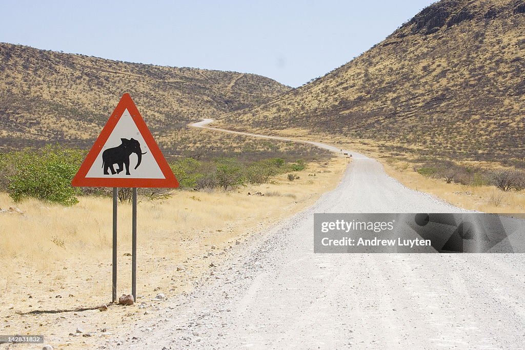 Elephant warning road sign