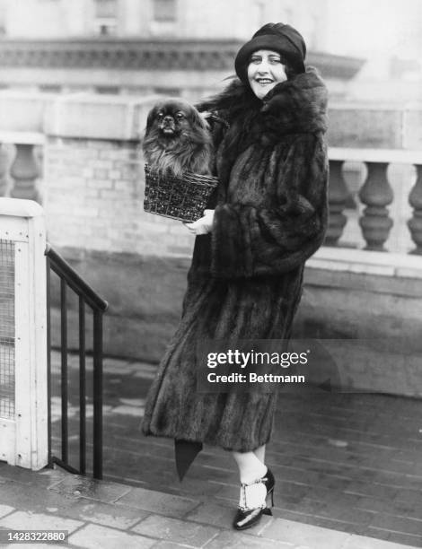 American operatic soprano Anna Case holds her Pekingese Dog named Prince Chun in a basket, on their way to register for the Pekingese Show held at...